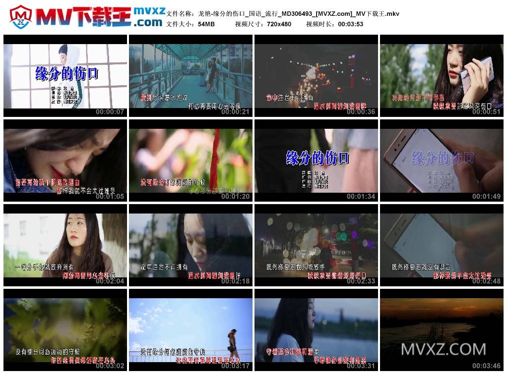 龙艳-缘分的伤口_国语_流行_MD306493